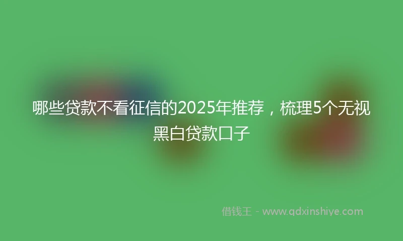 哪些贷款不看征信的2025年推荐，梳理5个无视黑白贷款口子