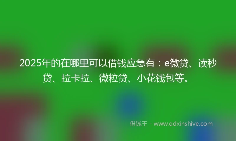 2025年的在哪里可以借钱应急有：e微贷、读秒贷、拉卡拉、微粒贷、小花钱包等。