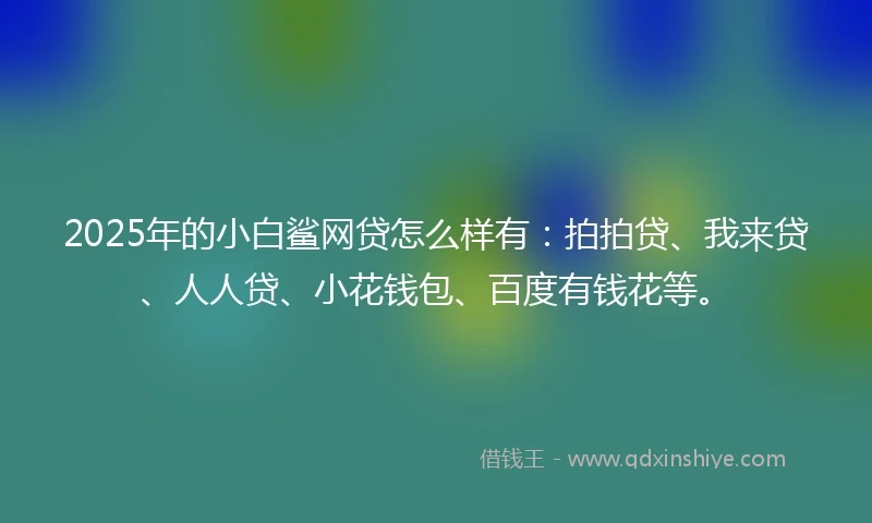2025年的小白鲨网贷怎么样有：拍拍贷、我来贷、人人贷、小花钱包、百度有钱花等。