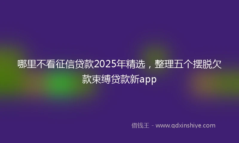 哪里不看征信贷款2025年精选，整理五个摆脱欠款束缚贷款新app