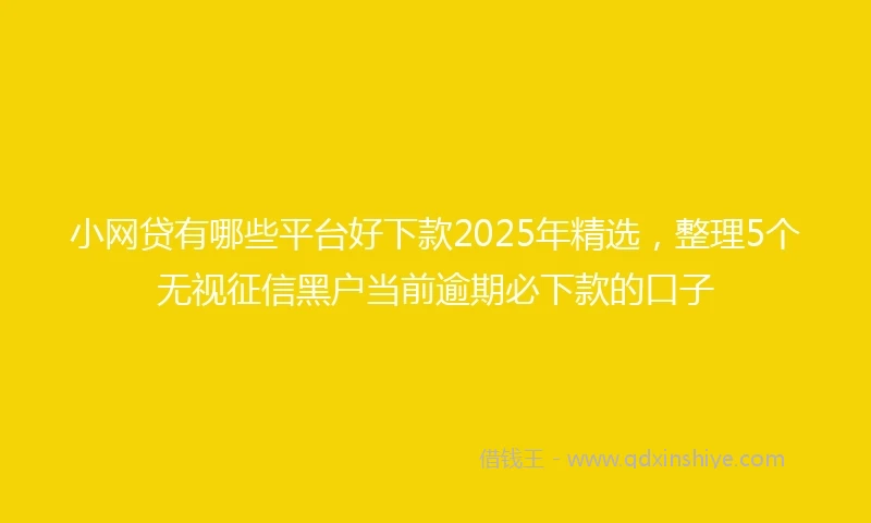 小网贷有哪些平台好下款2025年精选，整理5个无视征信黑户当前逾期必下款的口子