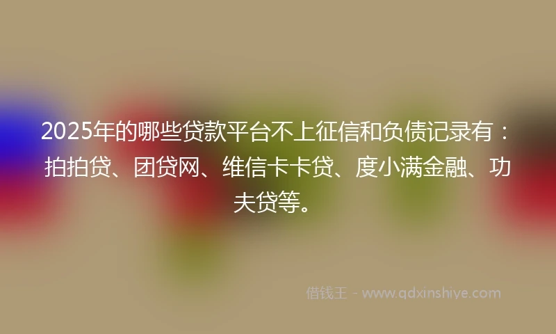 2025年的哪些贷款平台不上征信和负债记录有：拍拍贷、团贷网、维信卡卡贷、度小满金融、功夫贷等。