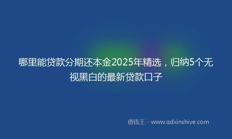 哪里能贷款分期还本金2025年精选，归纳5个无视黑白的最新贷款口子