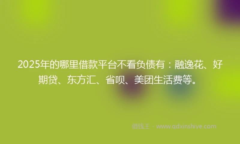 2025年的哪里借款平台不看负债有：融逸花、好期贷、东方汇、省呗、美团生活费等。