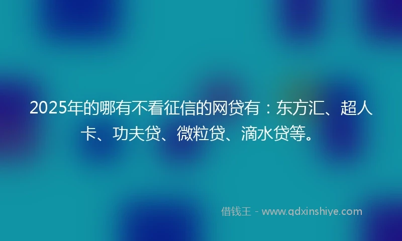 2025年的哪有不看征信的网贷有：东方汇、超人卡、功夫贷、微粒贷、滴水贷等。