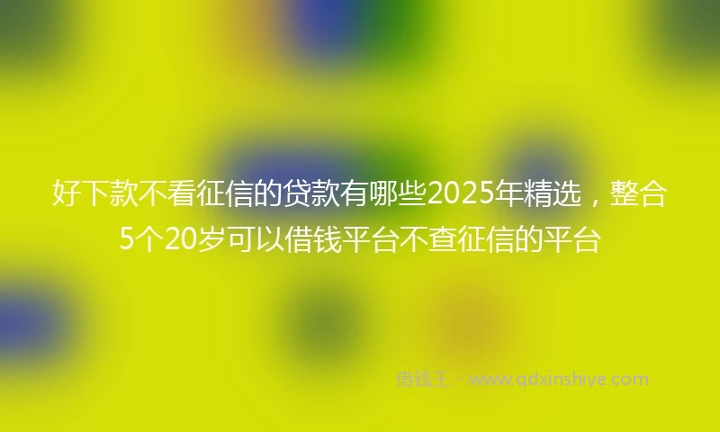 好下款不看征信的贷款有哪些2025年精选，整合5个20岁可以借钱平台不查征信的平台