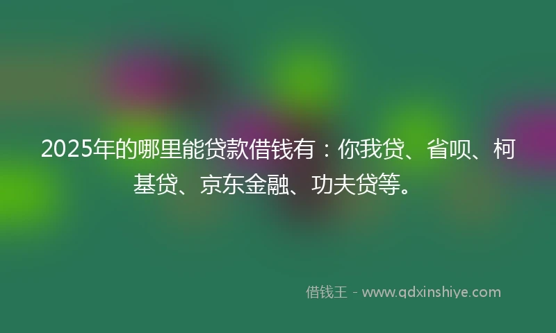 2025年的哪里能贷款借钱有：你我贷、省呗、柯基贷、京东金融、功夫贷等。