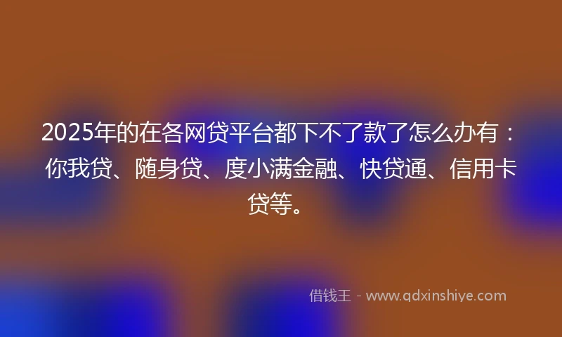 2025年的在各网贷平台都下不了款了怎么办有：你我贷、随身贷、度小满金融、快贷通、信用卡贷等。