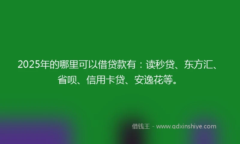 2025年的哪里可以借贷款有：读秒贷、东方汇、省呗、信用卡贷、安逸花等。