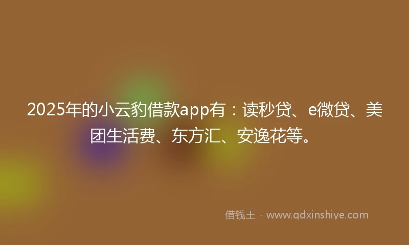 2025年的小云豹借款app有：读秒贷、e微贷、美团生活费、东方汇、安逸花等。