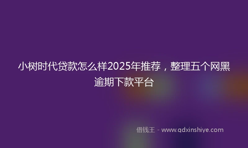 小树时代贷款怎么样2025年推荐，整理五个网黑逾期下款平台