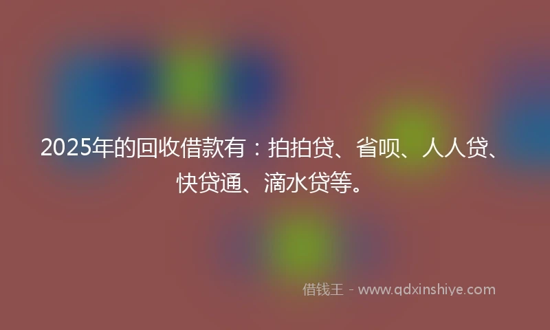 2025年的回收借款有：拍拍贷、省呗、人人贷、快贷通、滴水贷等。