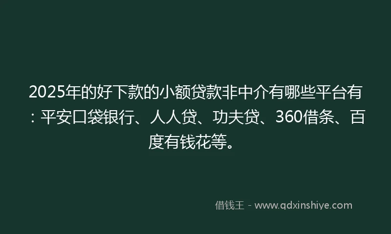 2025年的好下款的小额贷款非中介有哪些平台有：平安口袋银行、人人贷、功夫贷、360借条、百度有钱花等。