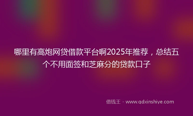 哪里有高炮网贷借款平台啊2025年推荐，总结五个不用面签和芝麻分的贷款口子