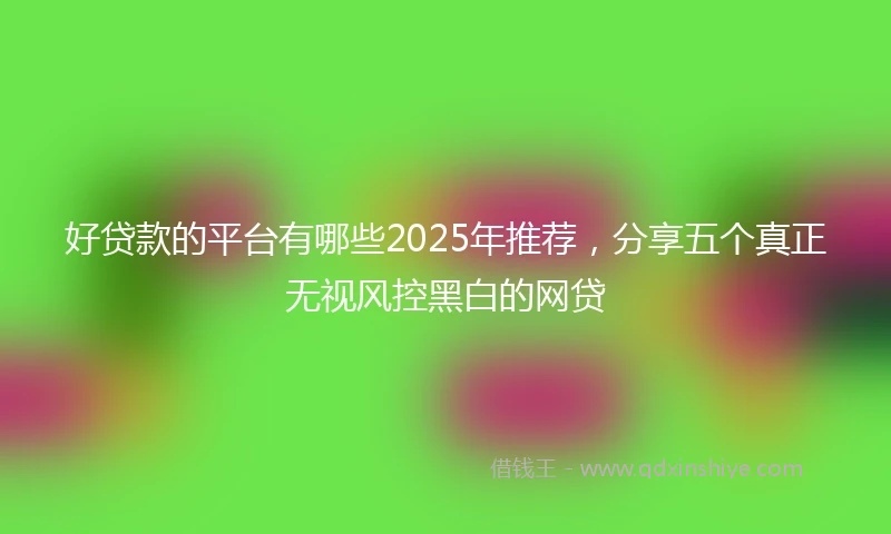 好贷款的平台有哪些2025年推荐，分享五个真正无视风控黑白的网贷