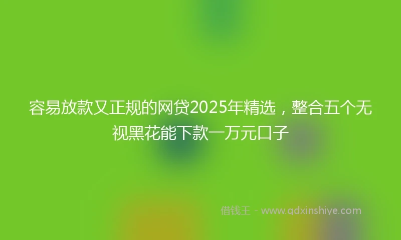容易放款又正规的网贷2025年精选，整合五个无视黑花能下款一万元口子