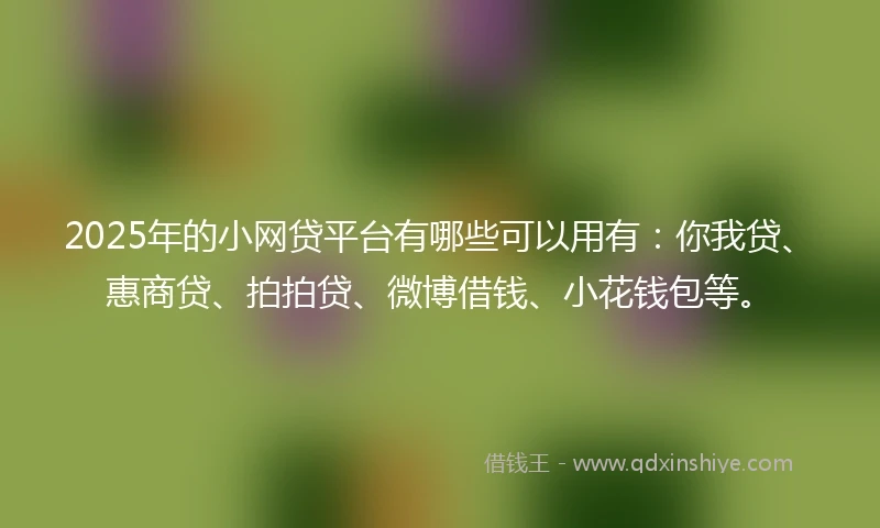 2025年的小网贷平台有哪些可以用有：你我贷、惠商贷、拍拍贷、微博借钱、小花钱包等。