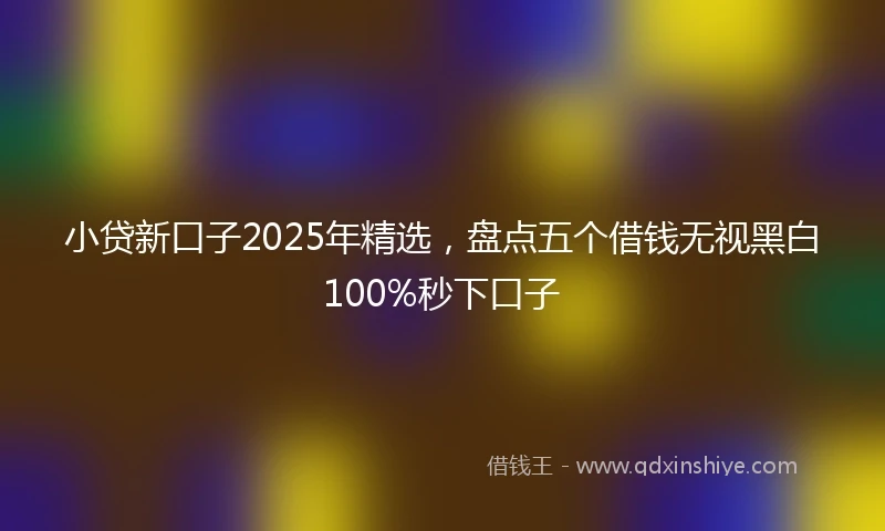 小贷新口子2025年精选，盘点五个借钱无视黑白100%秒下口子
