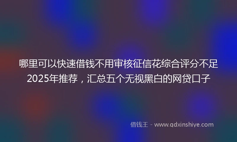 哪里可以快速借钱不用审核征信花综合评分不足2025年推荐，汇总五个无视黑白的网贷口子