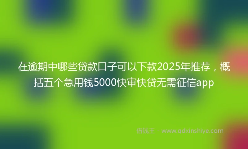 在逾期中哪些贷款口子可以下款2025年推荐，概括五个急用钱5000快审快贷无需征信app