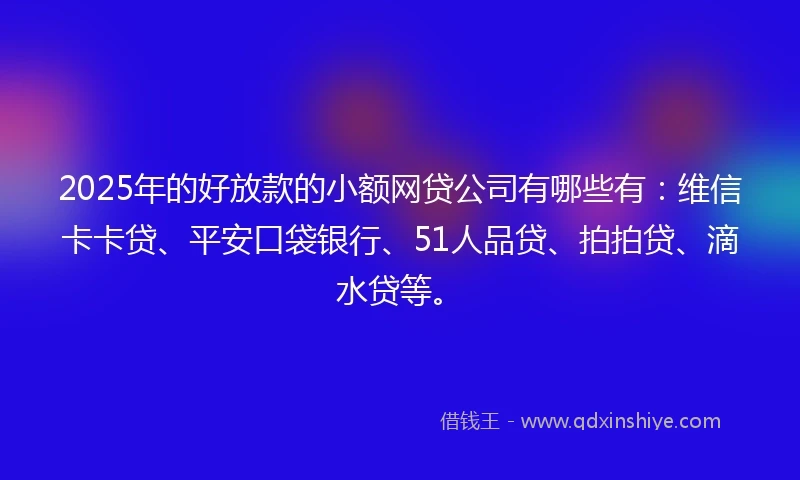 2025年的好放款的小额网贷公司有哪些有：维信卡卡贷、平安口袋银行、51人品贷、拍拍贷、滴水贷等。