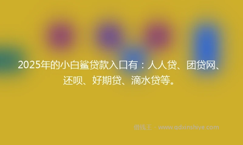 2025年的小白鲨贷款入口有：人人贷、团贷网、还呗、好期贷、滴水贷等。