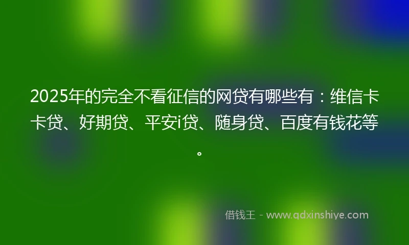2025年的完全不看征信的网贷有哪些有：维信卡卡贷、好期贷、平安i贷、随身贷、百度有钱花等。