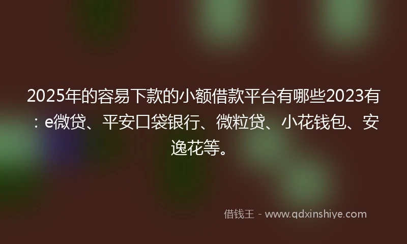 2025年的容易下款的小额借款平台有哪些2023有：e微贷、平安口袋银行、微粒贷、小花钱包、安逸花等。