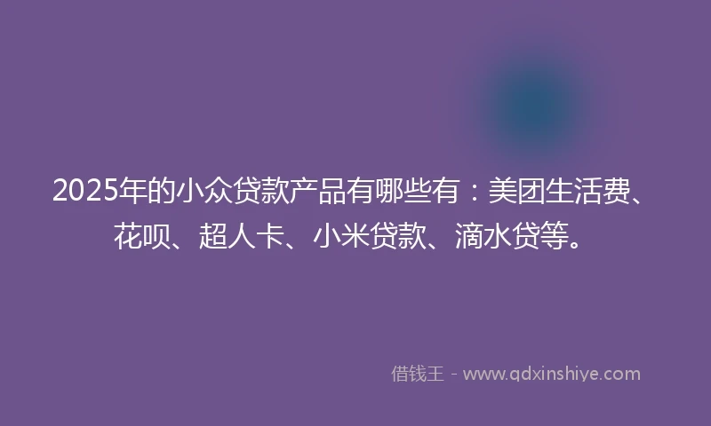 2025年的小众贷款产品有哪些有：美团生活费、花呗、超人卡、小米贷款、滴水贷等。