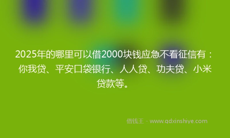 2025年的哪里可以借2000块钱应急不看征信有：你我贷、平安口袋银行、人人贷、功夫贷、小米贷款等。