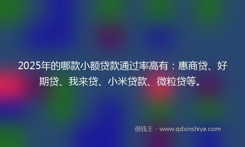 2025年的哪款小额贷款通过率高有：惠商贷、好期贷、我来贷、小米贷款、微粒贷等。