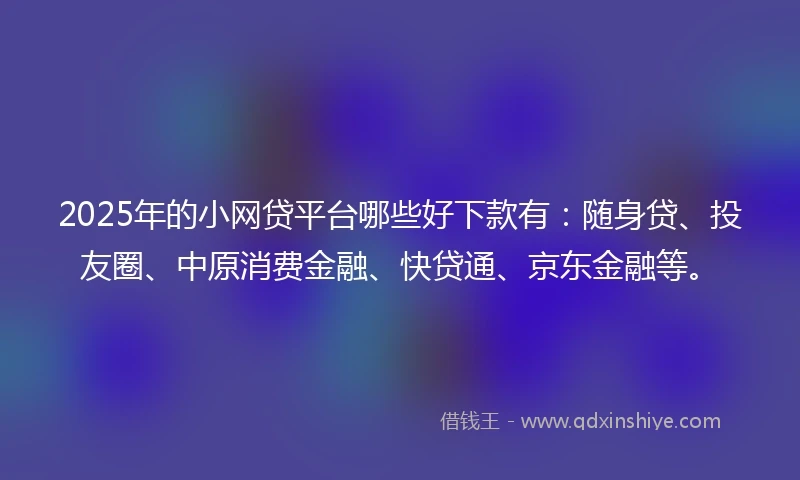 2025年的小网贷平台哪些好下款有：随身贷、投友圈、中原消费金融、快贷通、京东金融等。