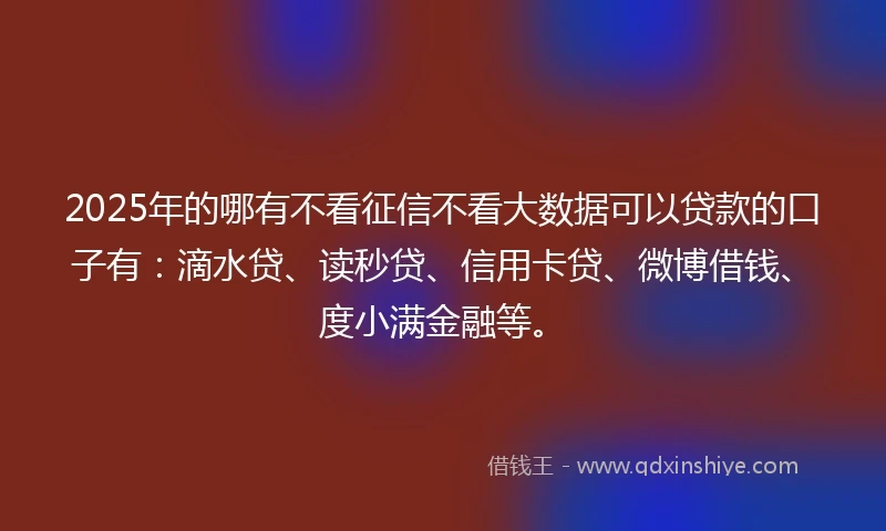 2025年的哪有不看征信不看大数据可以贷款的口子有：滴水贷、读秒贷、信用卡贷、微博借钱、度小满金融等。