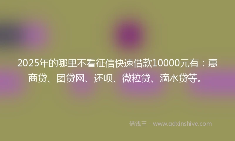 2025年的哪里不看征信快速借款10000元有：惠商贷、团贷网、还呗、微粒贷、滴水贷等。