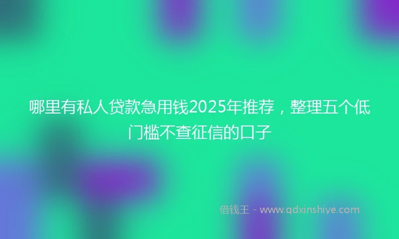 哪里有私人贷款急用钱2025年推荐，整理五个低门槛不查征信的口子
