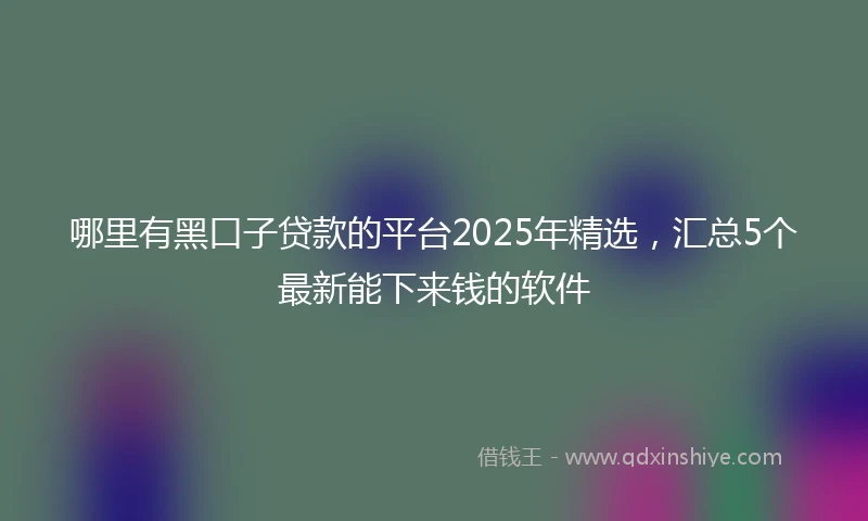 哪里有黑口子贷款的平台2025年精选，汇总5个最新能下来钱的软件