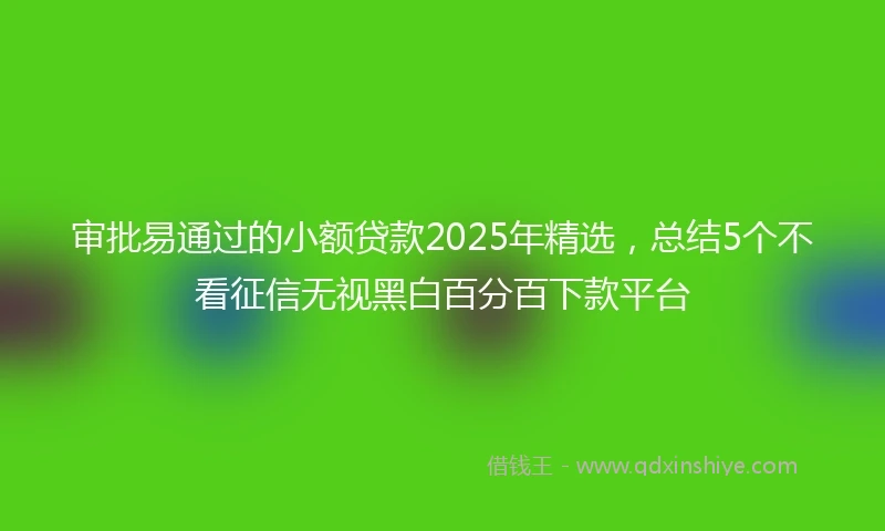 审批易通过的小额贷款2025年精选，总结5个不看征信无视黑白百分百下款平台