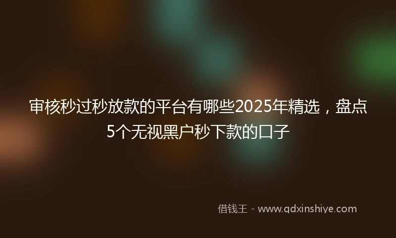 审核秒过秒放款的平台有哪些2025年精选，盘点5个无视黑户秒下款的口子