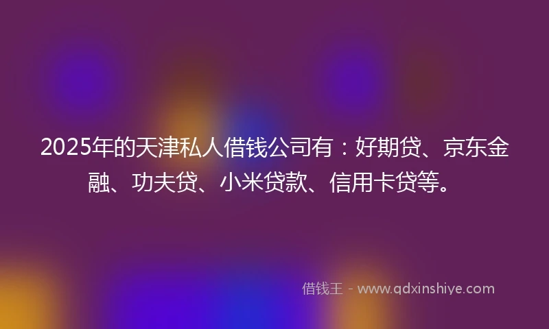 2025年的天津私人借钱公司有：好期贷、京东金融、功夫贷、小米贷款、信用卡贷等。