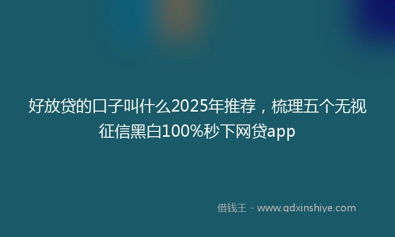 好放贷的口子叫什么2025年推荐，梳理五个无视征信黑白100%秒下网贷app