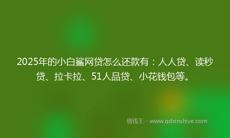 2025年的小白鲨网贷怎么还款有：人人贷、读秒贷、拉卡拉、51人品贷、小花钱包等。