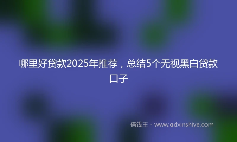 哪里好贷款2025年推荐，总结5个无视黑白贷款口子