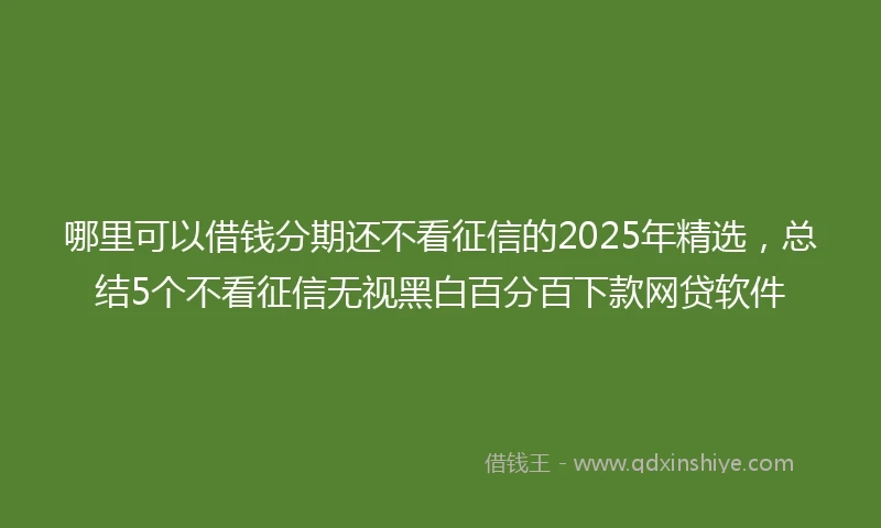 哪里可以借钱分期还不看征信的2025年精选，总结5个不看征信无视黑白百分百下款网贷软件