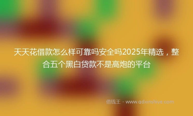 天天花借款怎么样可靠吗安全吗2025年精选，整合五个黑白贷款不是高炮的平台