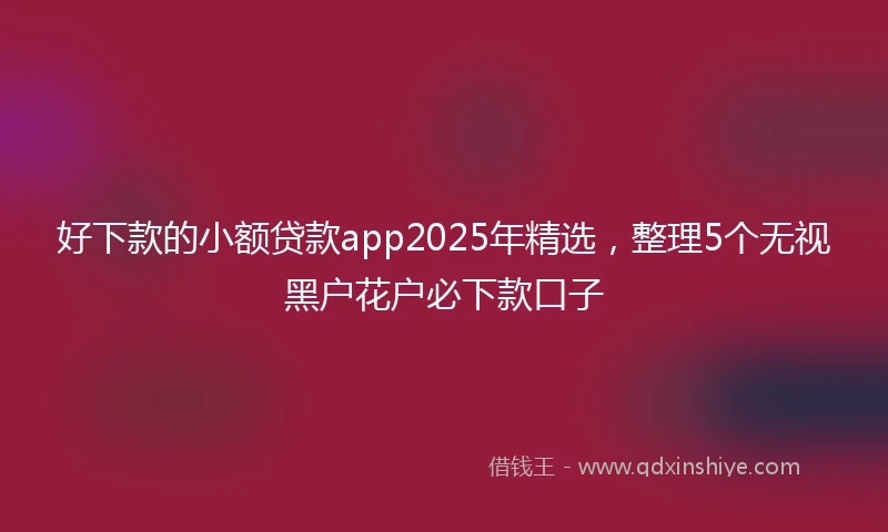 好下款的小额贷款app2025年精选，整理5个无视黑户花户必下款口子