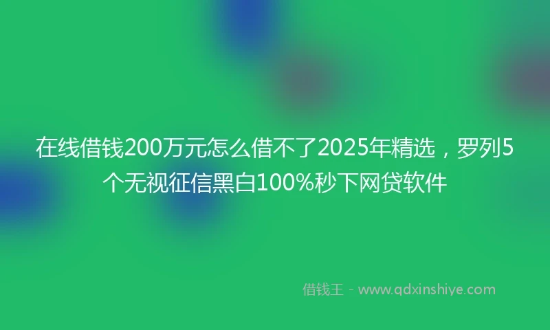 在线借钱200万元怎么借不了2025年精选，罗列5个无视征信黑白100%秒下网贷软件