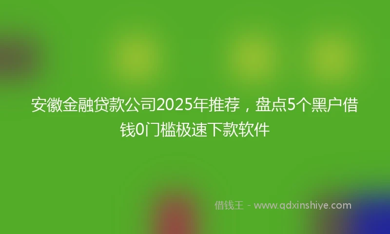 安徽金融贷款公司2025年推荐，盘点5个黑户借钱0门槛极速下款软件