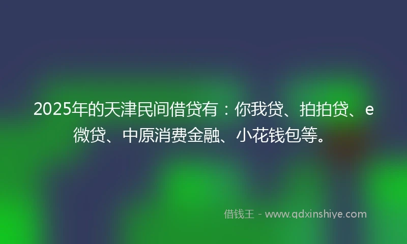 2025年的天津民间借贷有：你我贷、拍拍贷、e微贷、中原消费金融、小花钱包等。