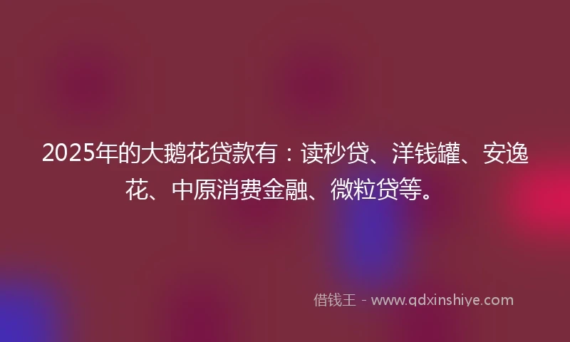 2025年的大鹅花贷款有：读秒贷、洋钱罐、安逸花、中原消费金融、微粒贷等。
