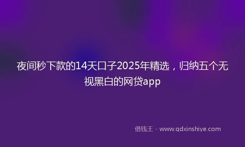 夜间秒下款的14天口子2025年精选，归纳五个无视黑白的网贷app